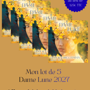 Lot de 5 Dame Lune 2027